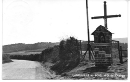 LANEUVILLE AU BOIS (6970) N D De Champs - Tenneville