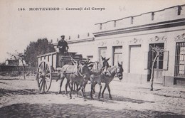 Carte Postale : Montevideo    Carruaji Del Campo     Attelage - Uruguay