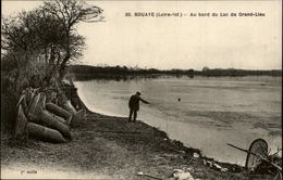 44 - BOUAYE - Lac Grand Lieu - Bouaye