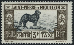 Neuf Sans Charnière N° 21/31, La Série Chiens De Terre Neuve, T.B. - Other & Unclassified