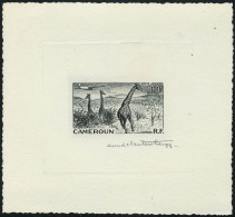 N° 47, 100f Girafes, épreuve D'artiste Signée Par Le Graveur T.B. - Other & Unclassified