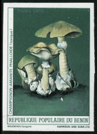 N° 631/3, Série Champignons, épreuve De Luxe + Série ND, T.B. - Sonstige & Ohne Zuordnung