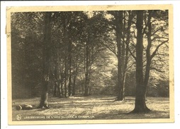 Champlon Environs De L'Hostellerie - Tenneville