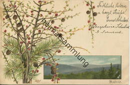 Landschaft - Zweige - Künstlerkarte Mailick - Verlag Winkler & Voigt Leipzig N° 4423 Gel. 1902 - Mailick, Alfred