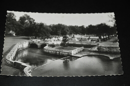 282- Nimes, Le Jardin De La Fontaine - Nîmes