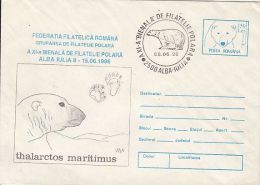 ARCTIC WILDLIFE, POLAR BEAR, COVER STATIONERY, ENTIER POSTAL, 1996, ROMANIA - Arctische Fauna