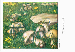 CHAMPIGNON ... PUBLICITE TYZYNE ... MOUSSERON DE LA SAINT GEORGES - Mushrooms