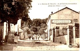 FRANCE. Carte Postale écrite. Saint Antoine-Verduron/Avenue Des Oliviers. - Quartiers Nord, Le Merlan, Saint Antoine