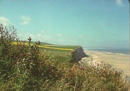 La Baie De Wissant-cpm - Wissant