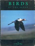 Birds Of The Elbow 1996 F. Roy BIRD OISEAU ORNITHOLOGIE Ecologie Animaux Nature Science - Wildlife