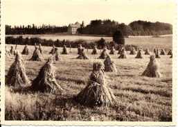 Sainte-Ode - Beauplateau (6680) : Le Couvent Des Rédemptoristes Au Temps Des Moissons. CPSM Peu Courante. - Sainte-Ode