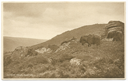 A View Near Haytor - Unused - Haytor Tea House Dartmoor - Dartmoor