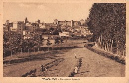 06676 "MONCALIERI (TO) - PANORAMA LEVANTE" ANIMATA. FIENAGIONE. CART. ILL. ORIG. NON SPED. - Moncalieri