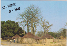 AFRIQUE DE L´OUEST,Sénégal,prés Guinée,SINE SALOUM,VILLAGE - Senegal