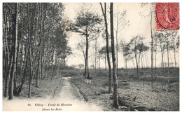 78 - VELISY -- Forêt De Meudon  - Dans Les Bois - Velizy