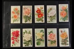 1912 WD & HO WILLS "Roses" Complete Set Of 50 Presented In Modern Sleeve Pages. Mostly Good Condition (50... - Sonstige & Ohne Zuordnung