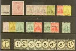 1879-1909 MINT SELECTION Presented On A Stock Card. Includes Values To 5s & 1905-06 Postage Due Set. Generally... - Trinité & Tobago (...-1961)