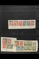 REVENUES 1954 Arms Values To £10 On Three Pieces, Each Piece Shows Mixed Use With 1966 Inscribed "Rhodesia"... - Rhodesia Del Sud (...-1964)