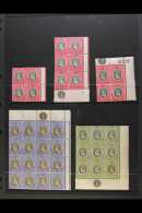 1903 - 1904 KEVII MINT MULTIPLES SELECTION A Selection Of Mint Multiples With Most Stamps Being Never Hinged.... - Nigeria (...-1960)