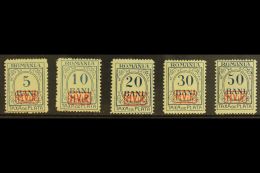 ROMANIA POSTAGE DUES 1918 "M.V.i.R." Overprints No Watermark Complete Set (Michel 1/5, SG D1B/5B), Never Hinged... - Altri & Non Classificati