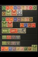 1942-1951 FINE MINT COLLECTION On Stock Pages, All Different, Inc ERITREA 1948-49 Set Mostly NHM, 1950 Most Vals... - Italian Eastern Africa