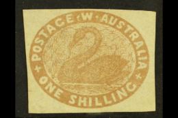 WESTERN AUSTRALIA 1854-55 1s Pale Brown Imperf, SG 4c, Unused No Gum With 4 Margins. Superb. For More Images,... - Other & Unclassified