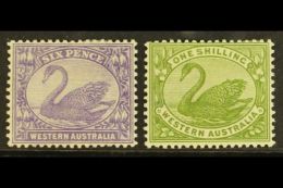 WESTERN AUSTRALIA 1906-07 6d Bright Violet & 1s Olive- Green, SG 115/16, Very Fine Mint (2 Stamps) For More... - Other & Unclassified