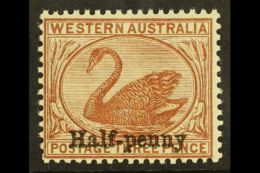 WESTERN AUSTRALIA 1895 ½d On 3d Red- Brown, SG 111b, Never Hinged Mint. Both Surcharges Perfectly Alligned... - Sonstige & Ohne Zuordnung