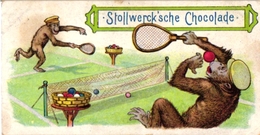 4 CardsTennis Pub   Hoyer Rostock Stollwerck Chocolade DRessed Apes  La Teinture Alsacienne Cats Playing TENNIS Gartmann - Trading Cards