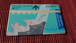 Phonecard Duck (Mint,Neuve) Rare - Pinguïns & Vetganzen