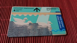 Phonecard Duck (Mint,Neuve) Rare - Pinguini