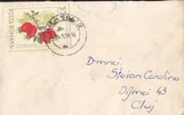 56510- ROSE HIP, STAMP ON LILIPUT COVER, 1968, ROMANIA - Covers & Documents