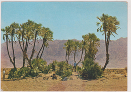 ISRAEL,PRES EILAT,PRES MER ROUGE,ARAVA PLAIN - Israel