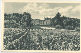 Gironde - 33 - Libourne , Janoueix Vins Fins 23 - 25 Rue Pline Parmentier Cachet , Chateau Vignes , Carte Double - Libourne