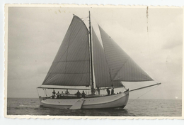 Carte Photo Voilier Le " Pylstaart " Boer Hollandais Reconstruit En 1949 Par Les Chantiers Baglietto A Varazze Cachet - Sailing Vessels