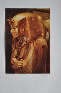 CARTOLINA " CAIRO EGYPTIAN MUSEUM " VIAGGIATA 1984 - Museos