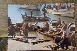 PORTUGAL, FIGUEIRA DA FOZ, SCENE TYPIQUE AU MARCHE DU POISSON - Coimbra