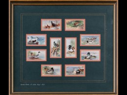 GAME Birds & Wild Fowl. Ensemble 30 Images De La Firme - Other & Unclassified