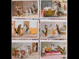 CHATS. 293 Cartes Postales, époques Diverses Et 3 Chrom - Non Classés