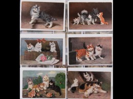 CHATS. Ensemble 223 Cartes Postales Illustrées De Chats - Zonder Classificatie