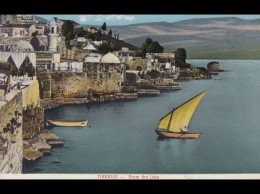 PALESTINE & ISRAËL. Environ 150 Cartes Postales. - Non Classés