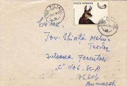 56523- WILD GOAT, CHAMOIS, STAMP ON COVER, 1979, ROMANIA - Lettres & Documents