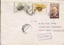 56533- BEETLES, MATHEMATICIAN, STAMP ON COVER, 1997, ROMANIA - Covers & Documents