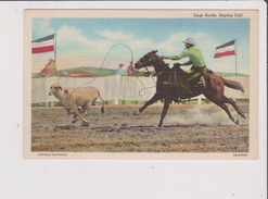 Carte Postale - JIGGS BURKE ROPING CALF - Cheval - Hippisme