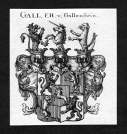 Gall Von Gallenstein - Gall Von Gallenstein Wappen Adel Coat Of Arms Heraldry Heraldik Kupferstich - Estampes & Gravures
