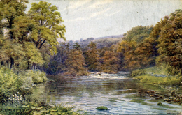 AR QUINTON - SALMON 1476 - MEETING OF THE WATERS, BOLTON WOODS - Quinton, AR