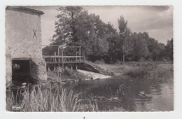 79 - CERIZAY / L'ECLUSE DE LA BRANCE - Cerizay