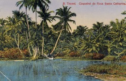 S SÃO TOMÉ - Coqueiral Da Roça Santa Catharina - Sao Tome Et Principe