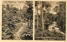S SÃO TOMÉ - Roça Ribeira Peixe - Aspectos Do Rio Ribeira De Peixe - Santo Tomé Y Príncipe