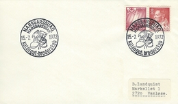 Greenland Postmark  Narssarssuaq  15 - 7 1972    H-1075 - Storia Postale